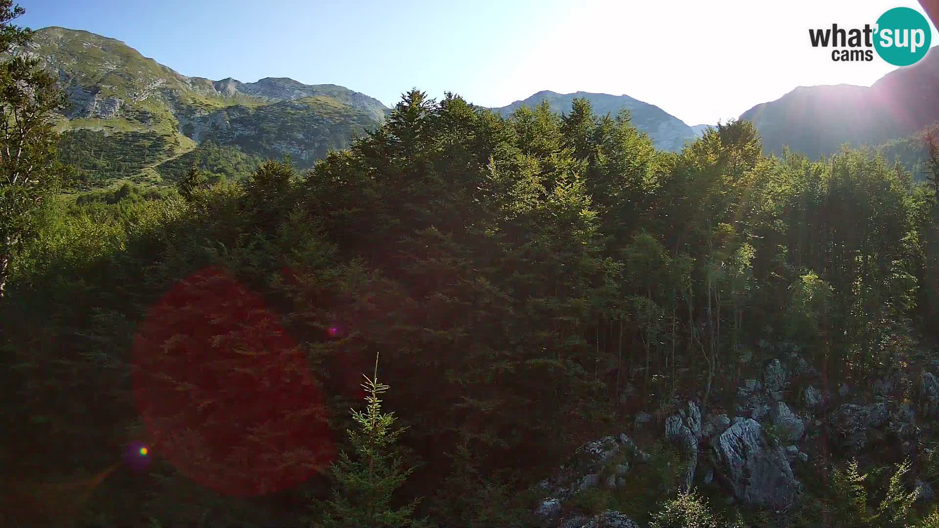 PLANINA RAZOR Live Cam (1315) | vista su Vogel e Globoko