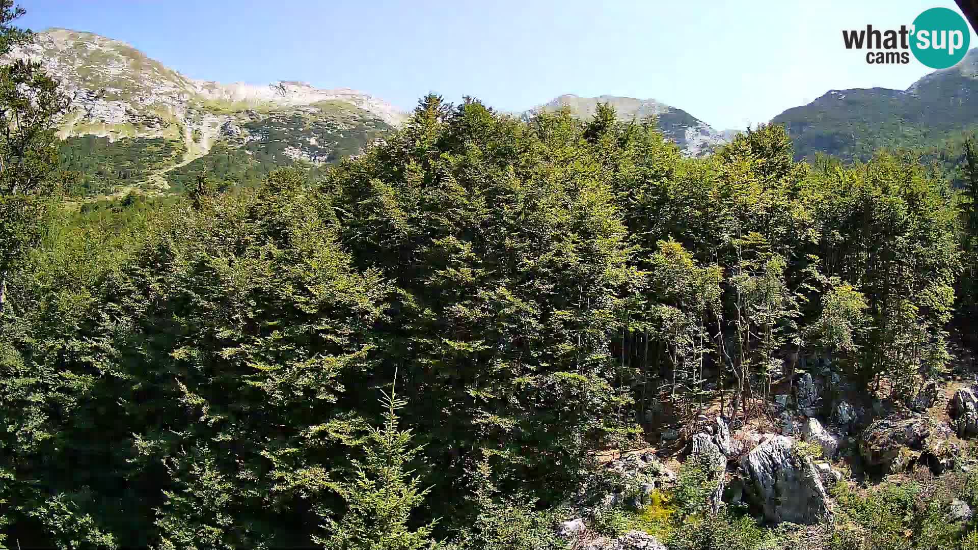 PLANINA RAZOR Live Cam (1315) | vista su Vogel e Globoko