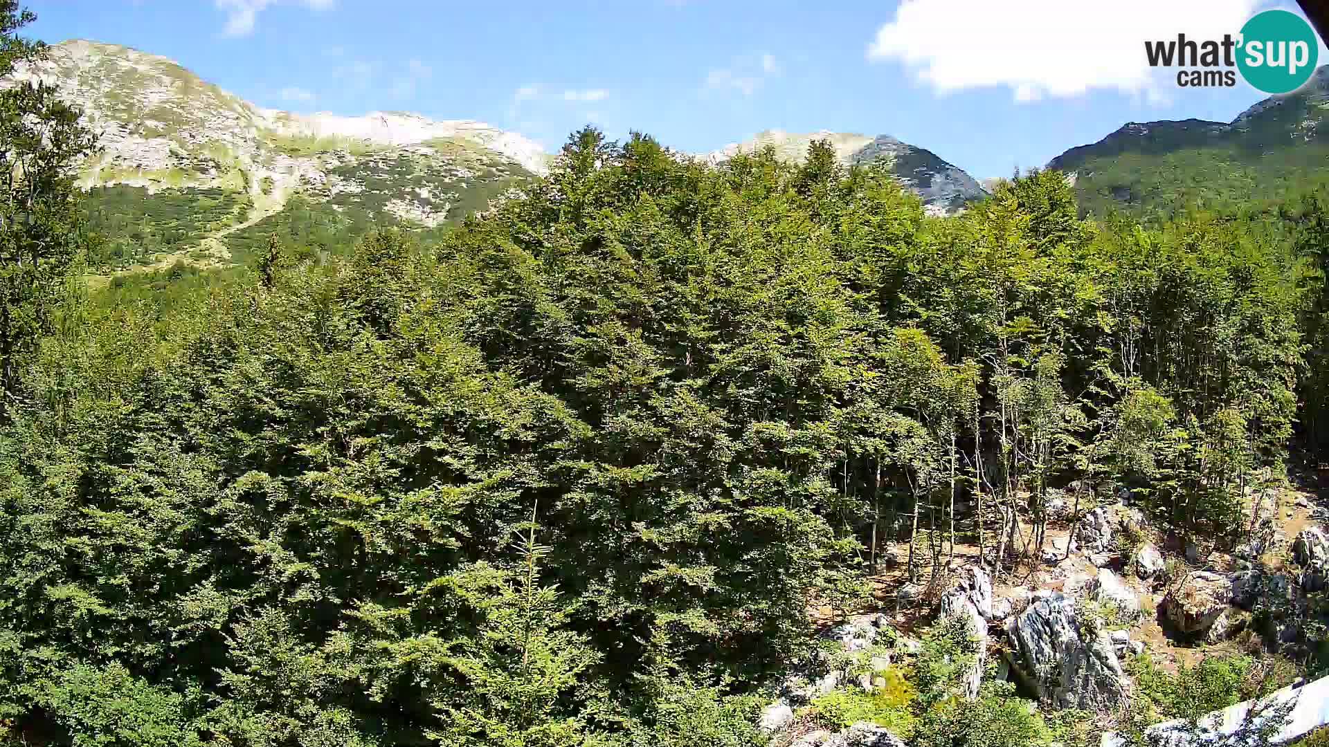Webcam PLANINA RAZOR (1315) | Blick auf Vogel und Globoko