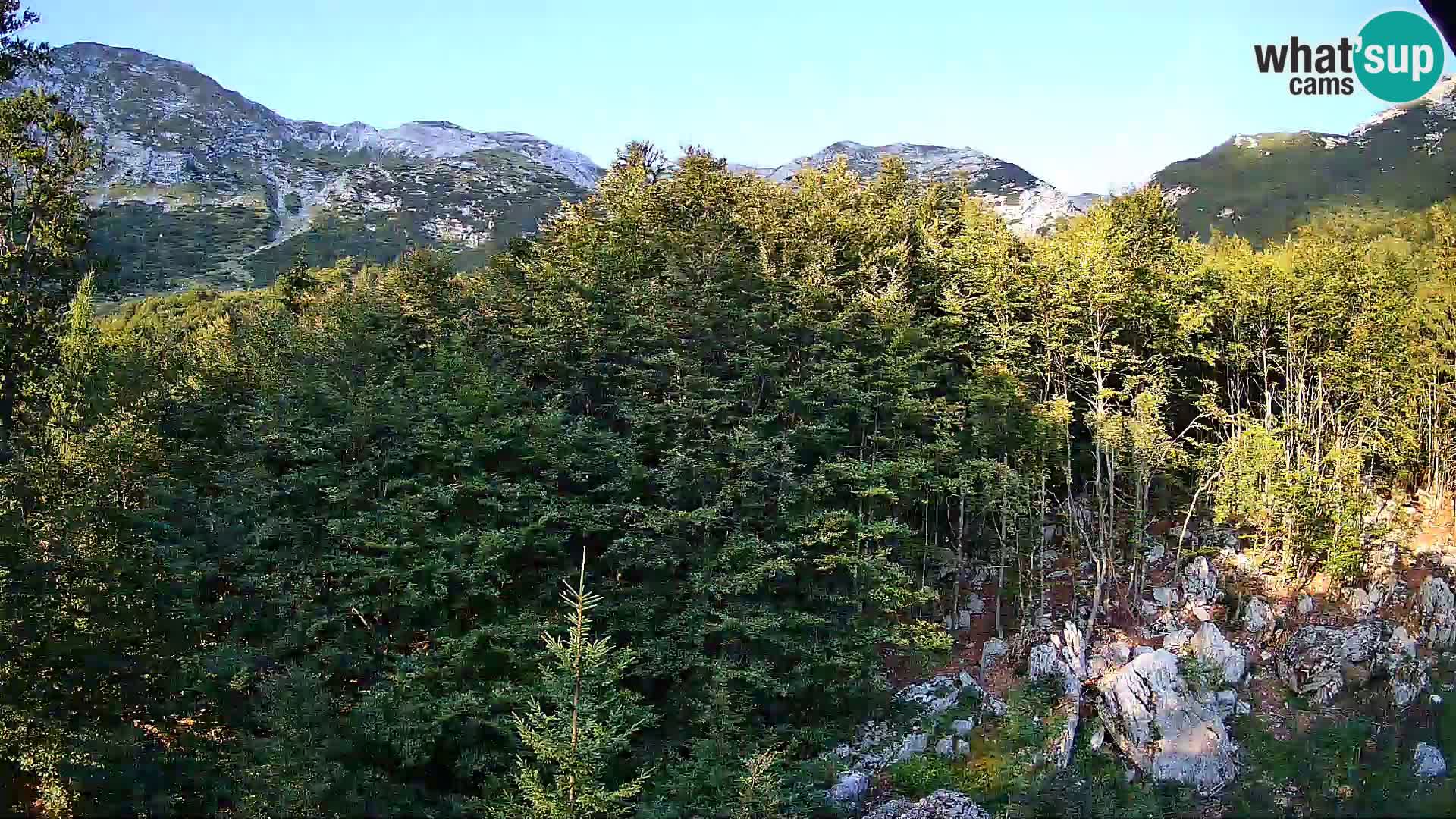Webcam PLANINA RAZOR (1315) | Blick auf Vogel und Globoko