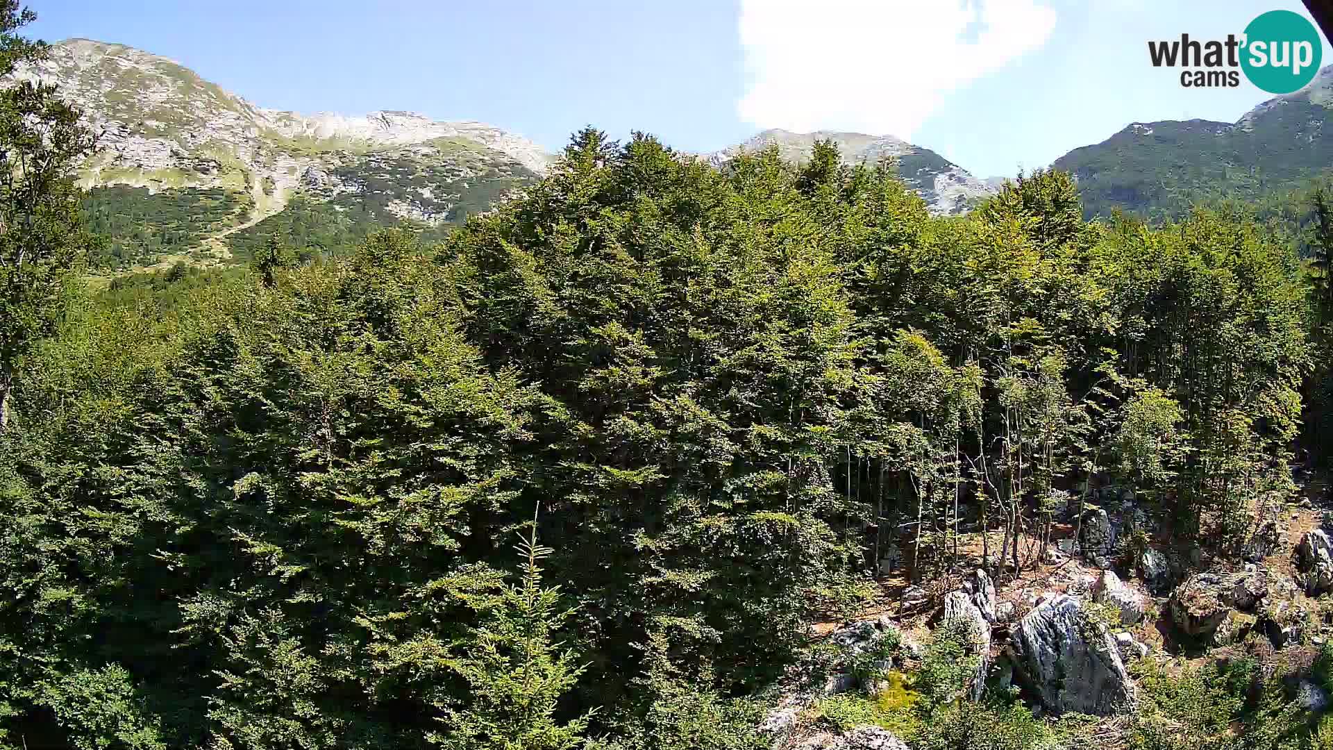 PLANINA RAZOR Live Cam (1315) | vista su Vogel e Globoko