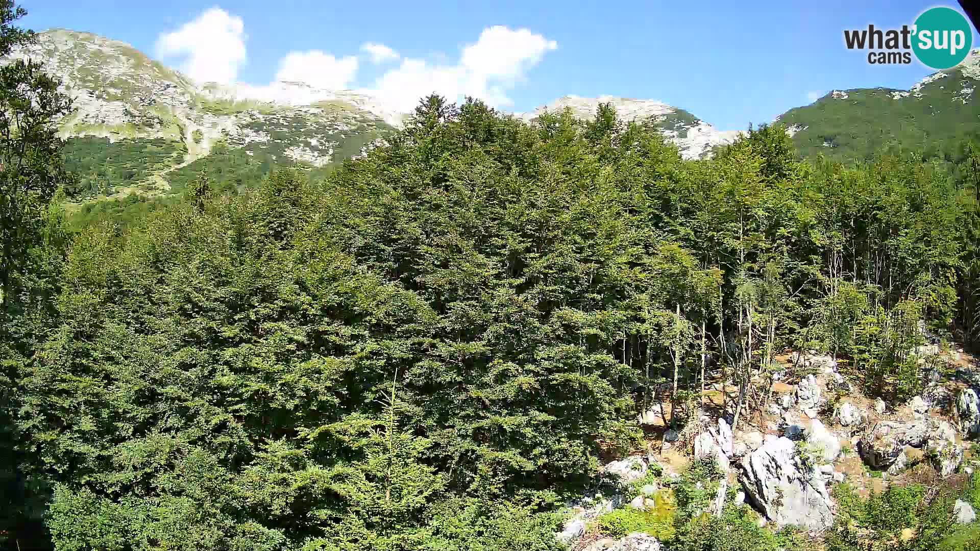 Cámara web PLANINA RAZOR (1315) | vista a Vogel y Globoko