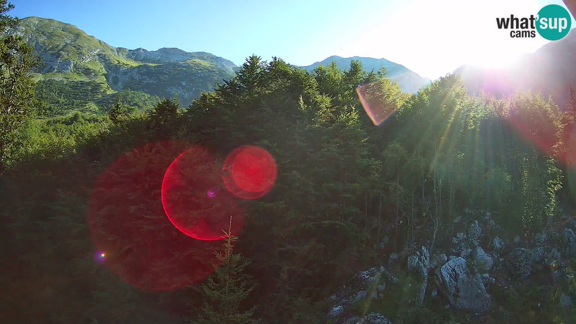 PLANINA RAZOR webcam (1315) | view to Vogel and Globoko