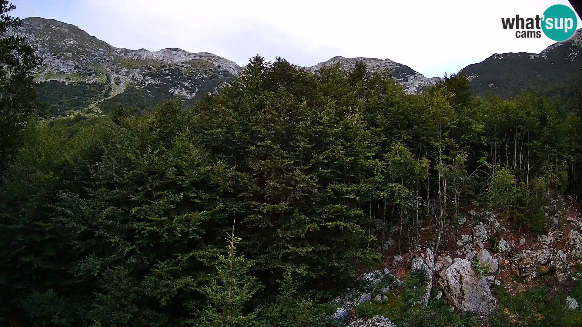 Webcam PLANINA RAZOR (1315) | Blick auf Vogel und Globoko