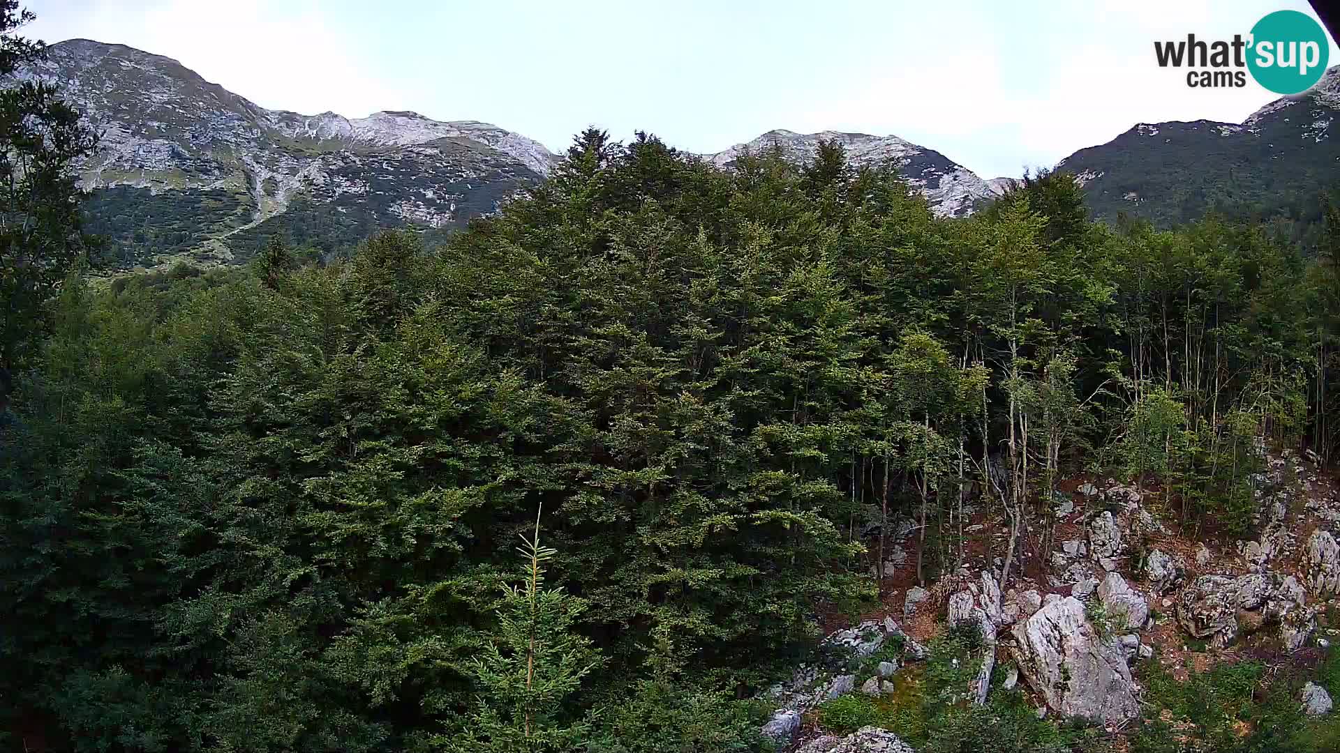 Webcam PLANINA RAZOR (1315) | Blick auf Vogel und Globoko