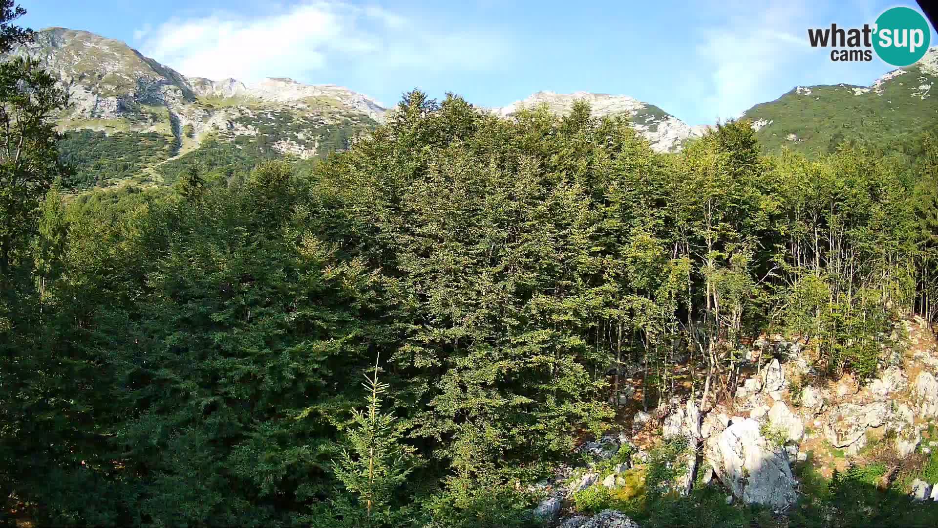 Cámara web PLANINA RAZOR (1315) | vista a Vogel y Globoko