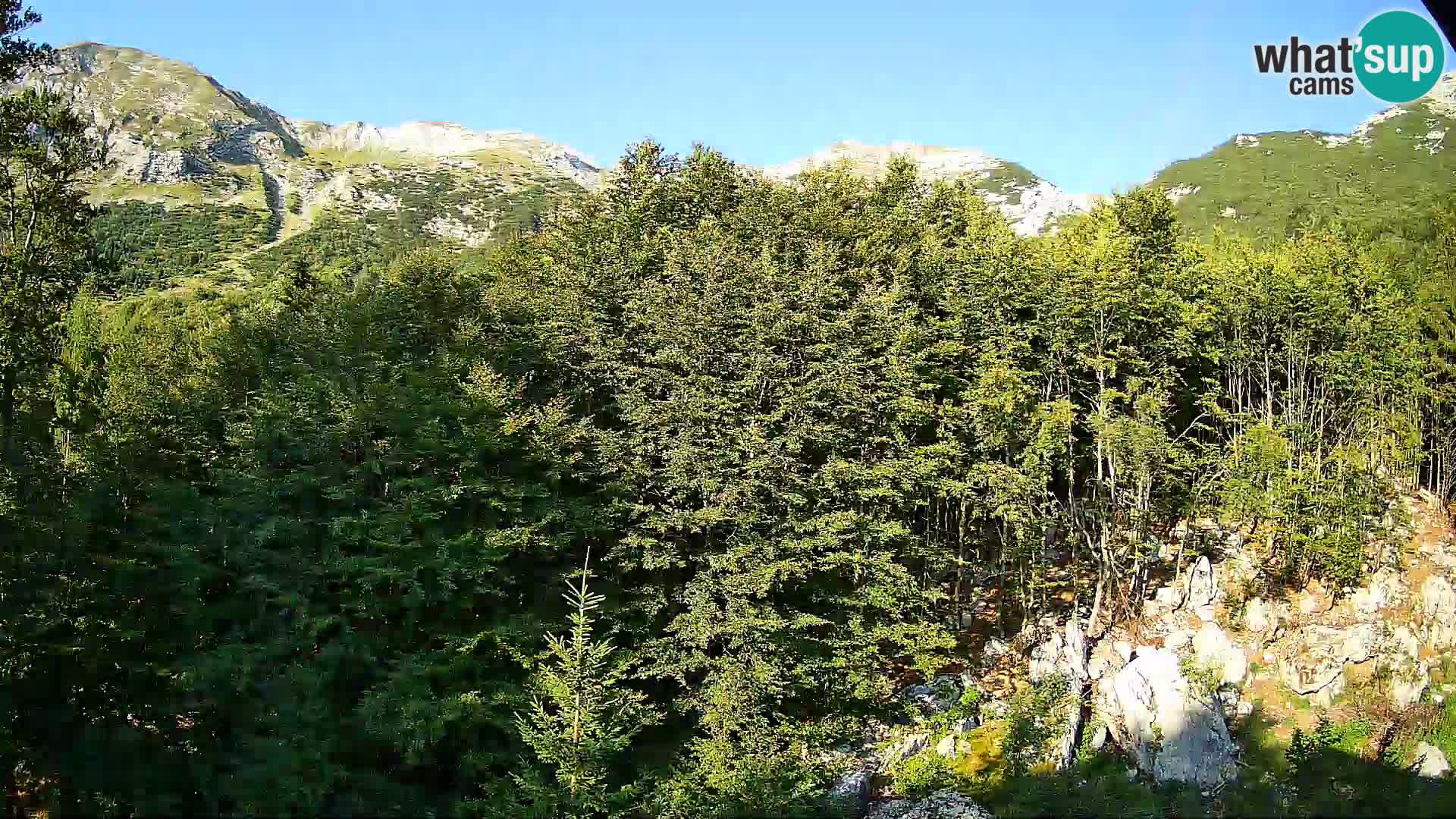 Webcam PLANINA RAZOR (1315) | Blick auf Vogel und Globoko