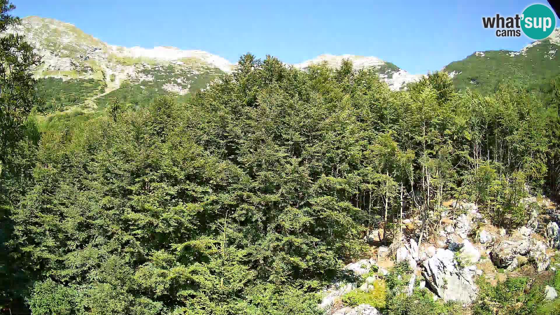 PLANINA RAZOR Live Cam (1315) | vista su Vogel e Globoko
