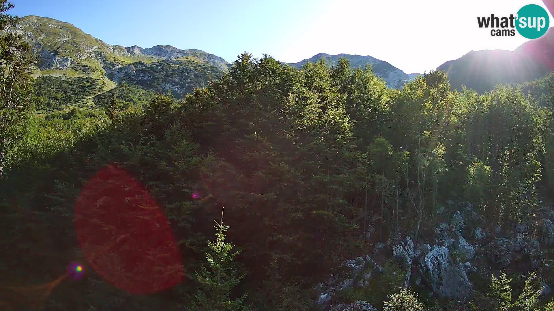 Livecam PLANINA RAZOR (1315) | vue sur Vogel et Globoko