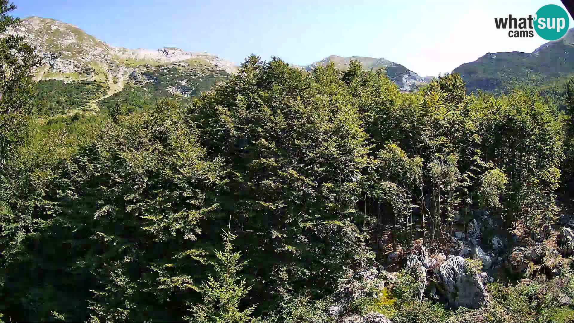PLANINA RAZOR Live Cam (1315) | vista su Vogel e Globoko