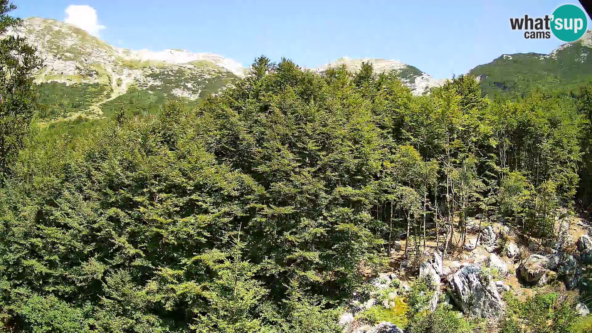 PLANINA RAZOR Live Cam (1315) | vista su Vogel e Globoko