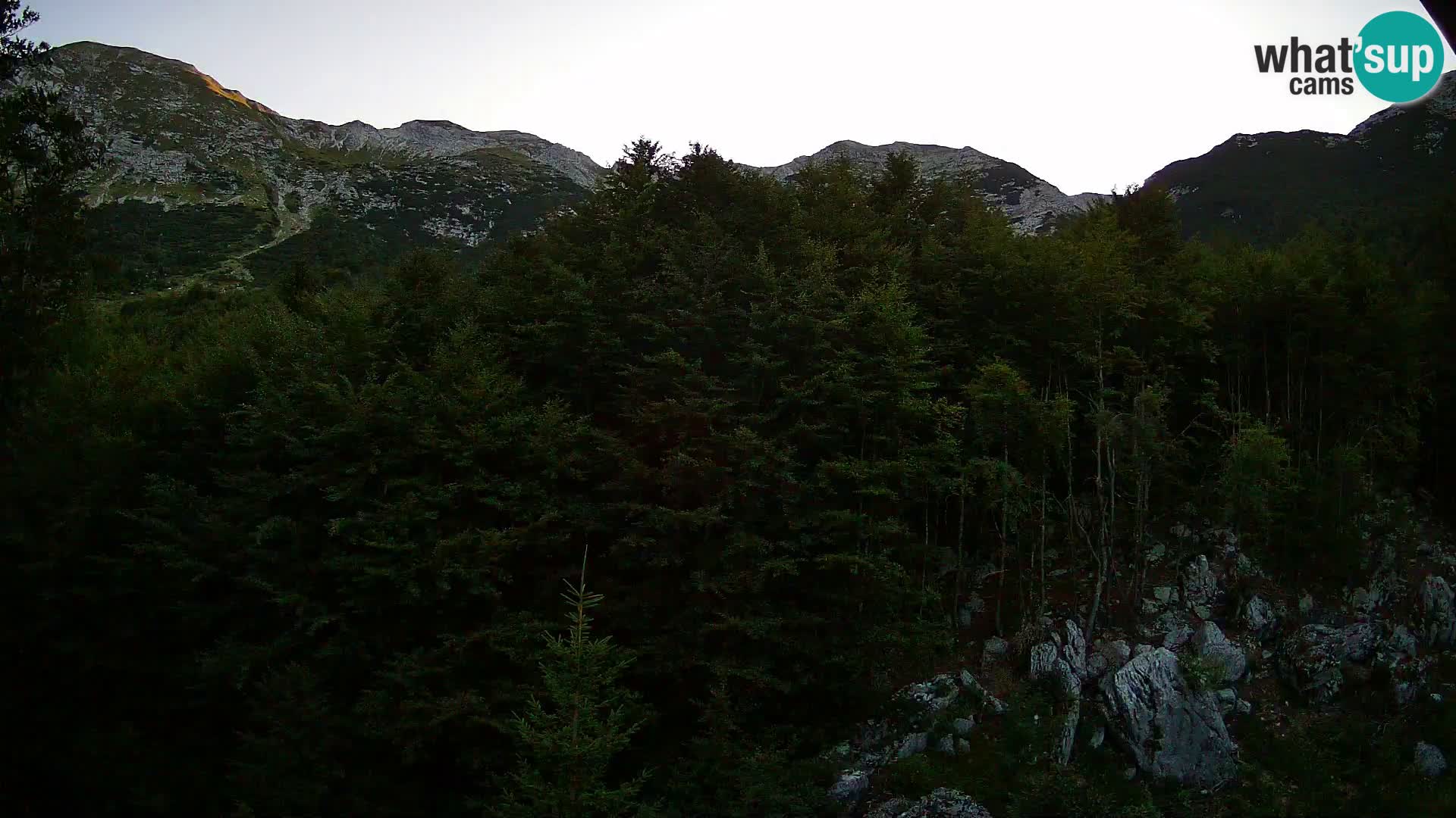 PLANINA RAZOR Live Cam (1315) | vista su Vogel e Globoko