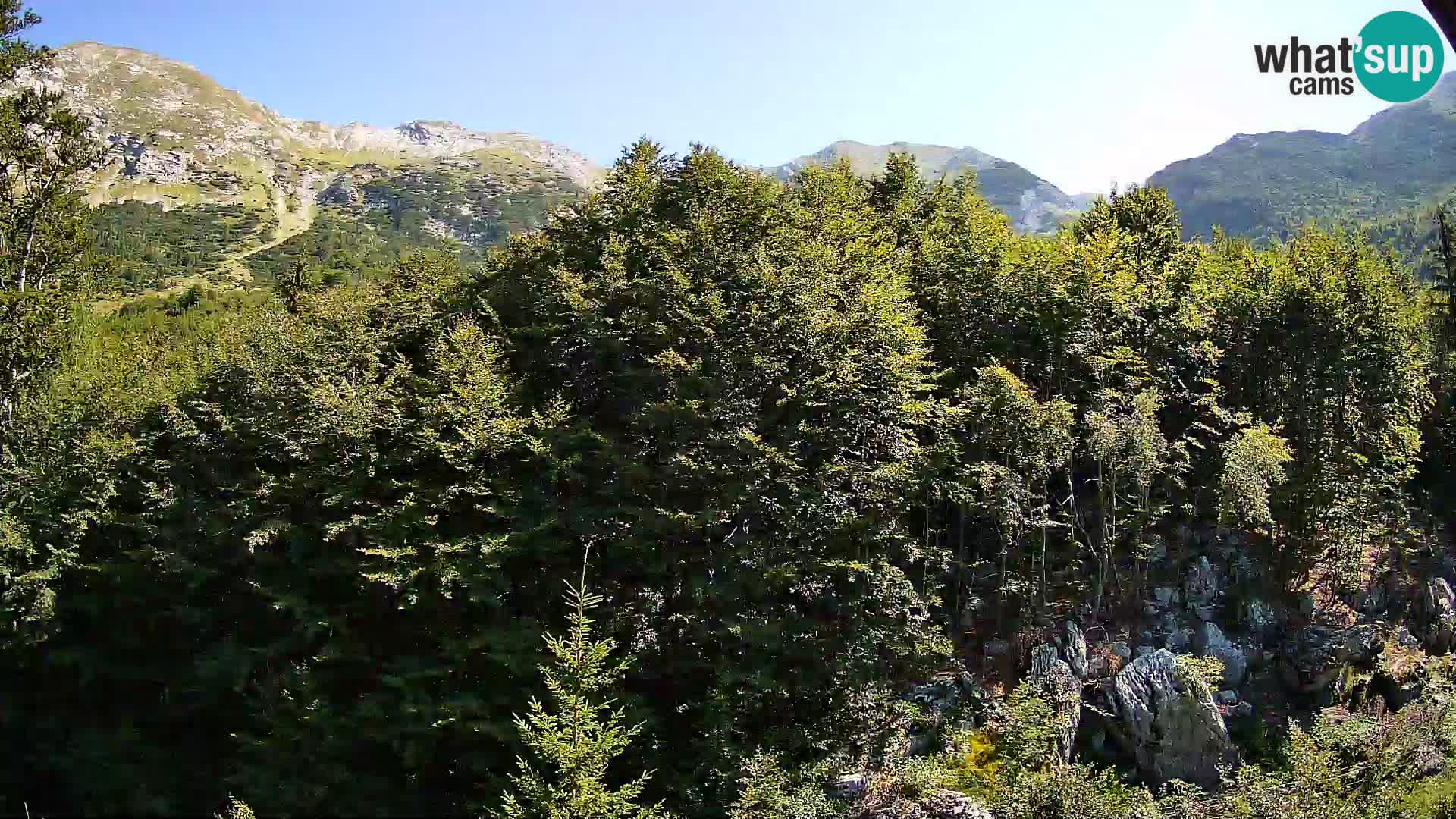 PLANINA RAZOR web kamera (1315) | pogled na Vogel i Globoko