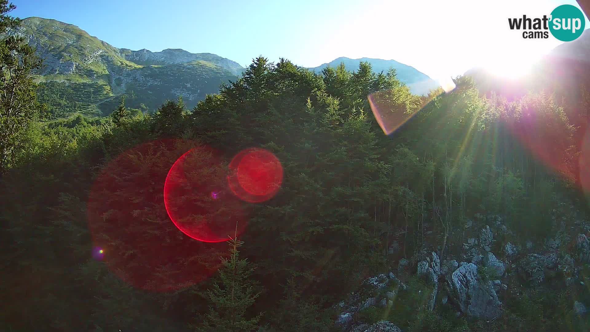 PLANINA RAZOR Live Cam (1315) | vista su Vogel e Globoko
