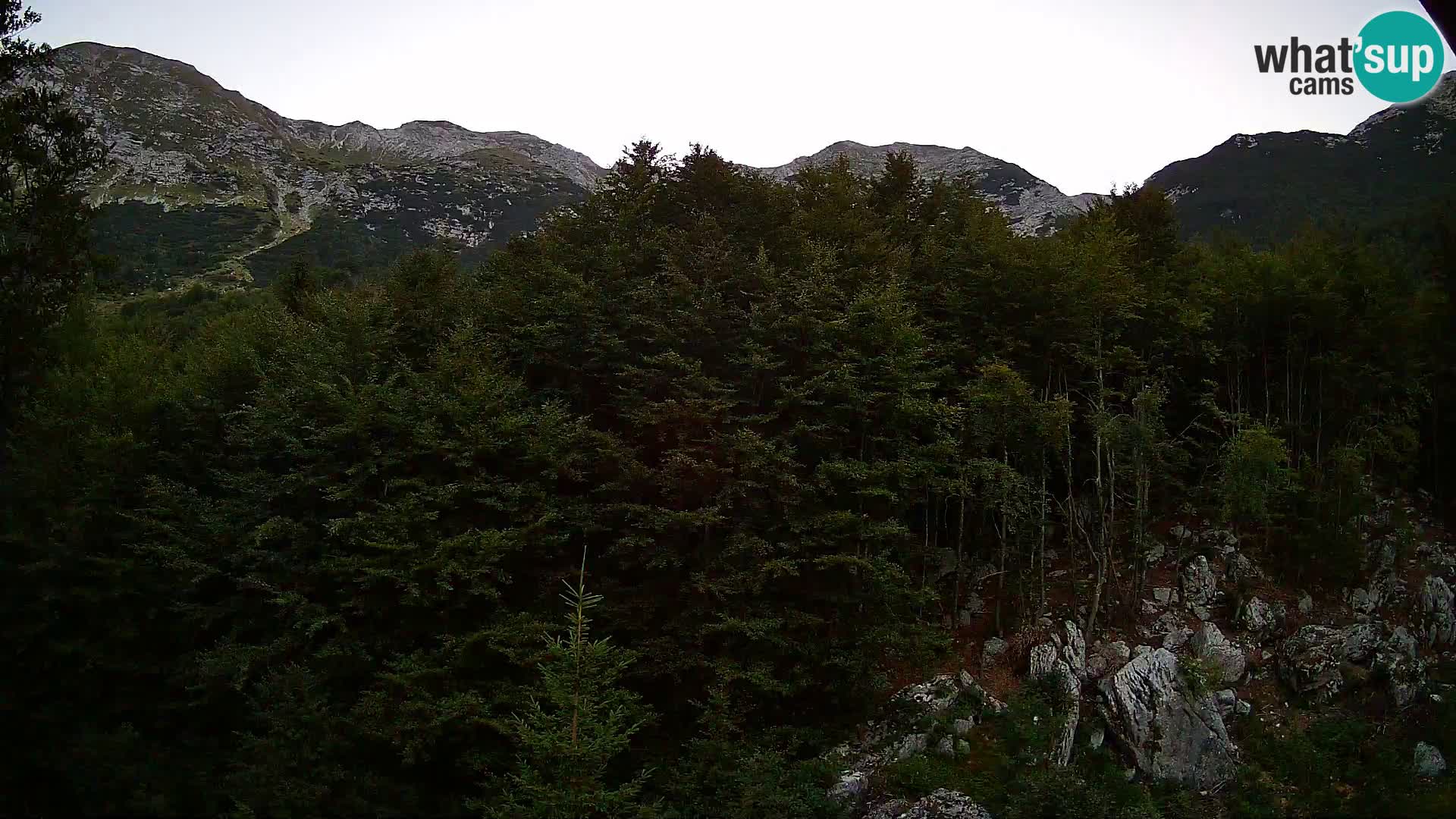 PLANINA RAZOR webcam (1315) | view to Vogel and Globoko