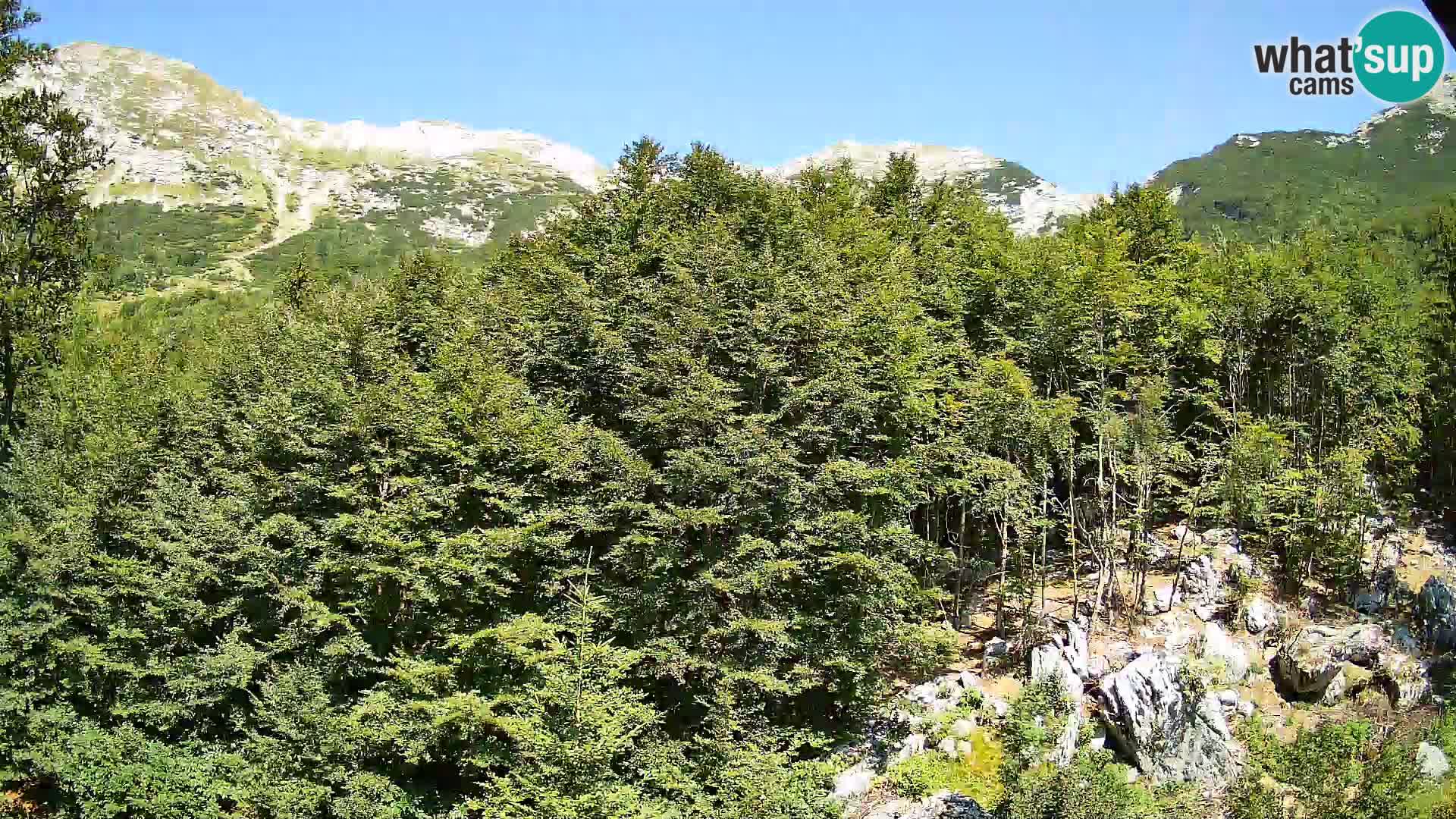 PLANINA RAZOR webcam (1315) | view to Vogel and Globoko