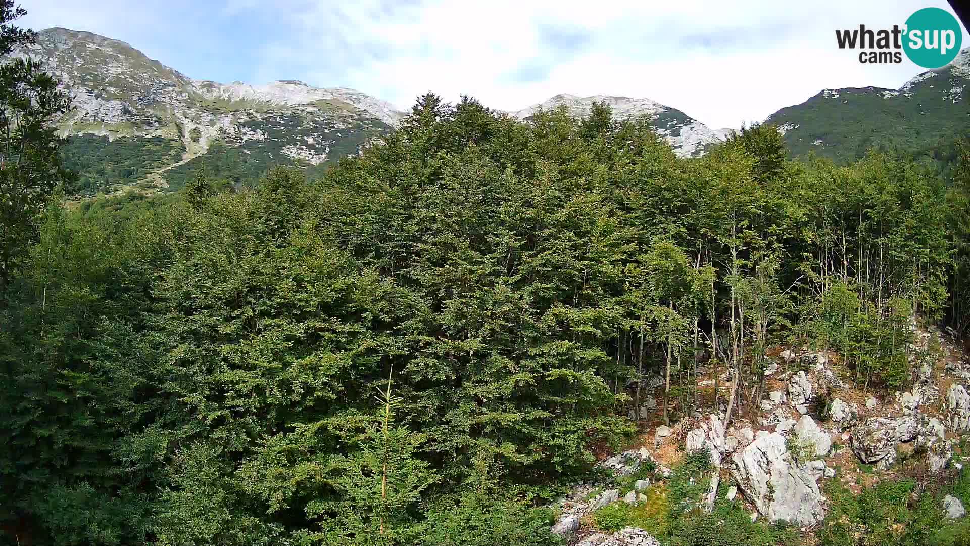 PLANINA RAZOR Live Cam (1315) | vista su Vogel e Globoko