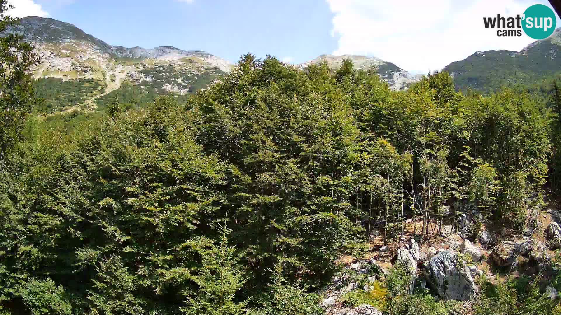 Livecam PLANINA RAZOR (1315) | vue sur Vogel et Globoko
