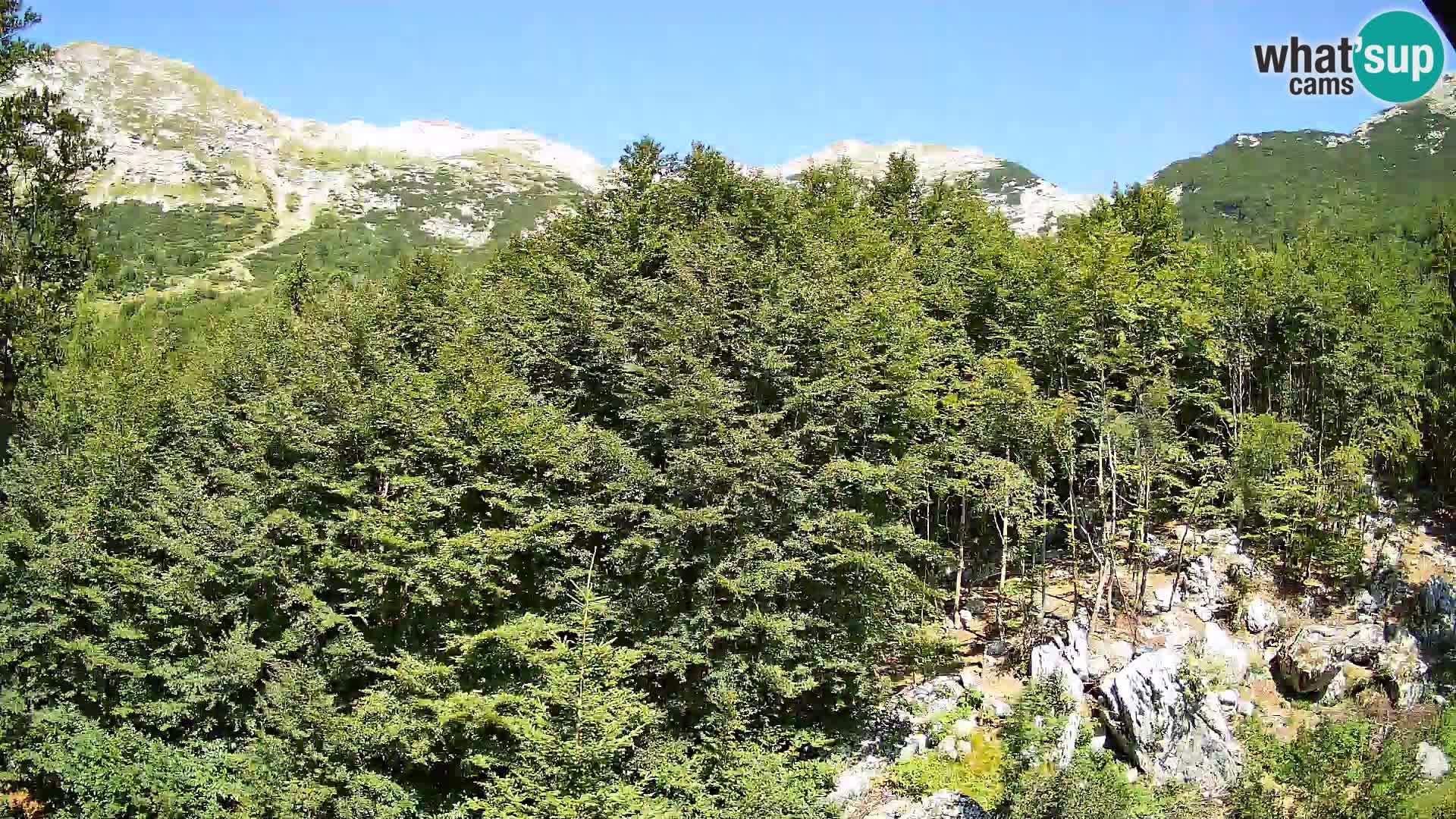 PLANINA RAZOR kamera (1315) | pogled na Vogel in Globoko