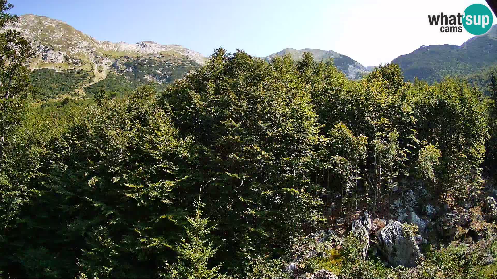 PLANINA RAZOR Live Cam (1315) | vista su Vogel e Globoko