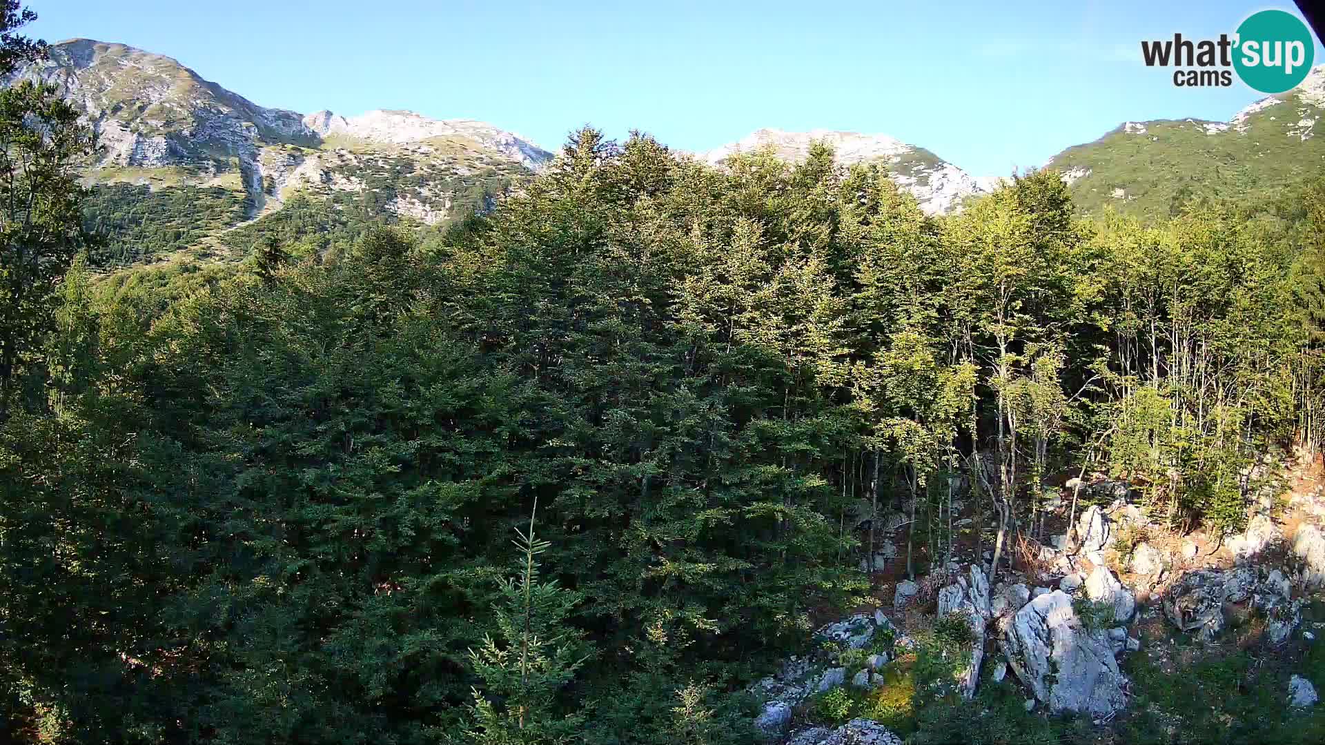 Livecam PLANINA RAZOR (1315) | vue sur Vogel et Globoko