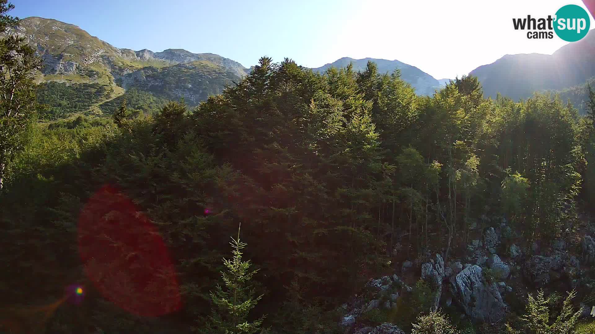Livecam PLANINA RAZOR (1315) | vue sur Vogel et Globoko