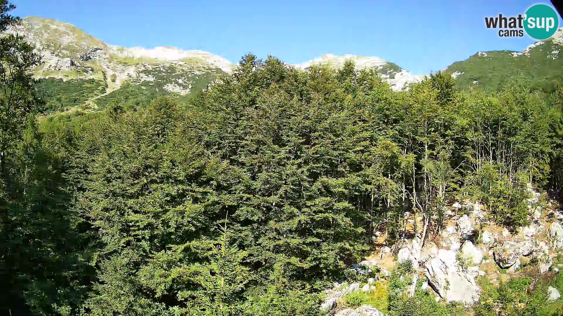 PLANINA RAZOR kamera (1315) | pogled na Vogel in Globoko
