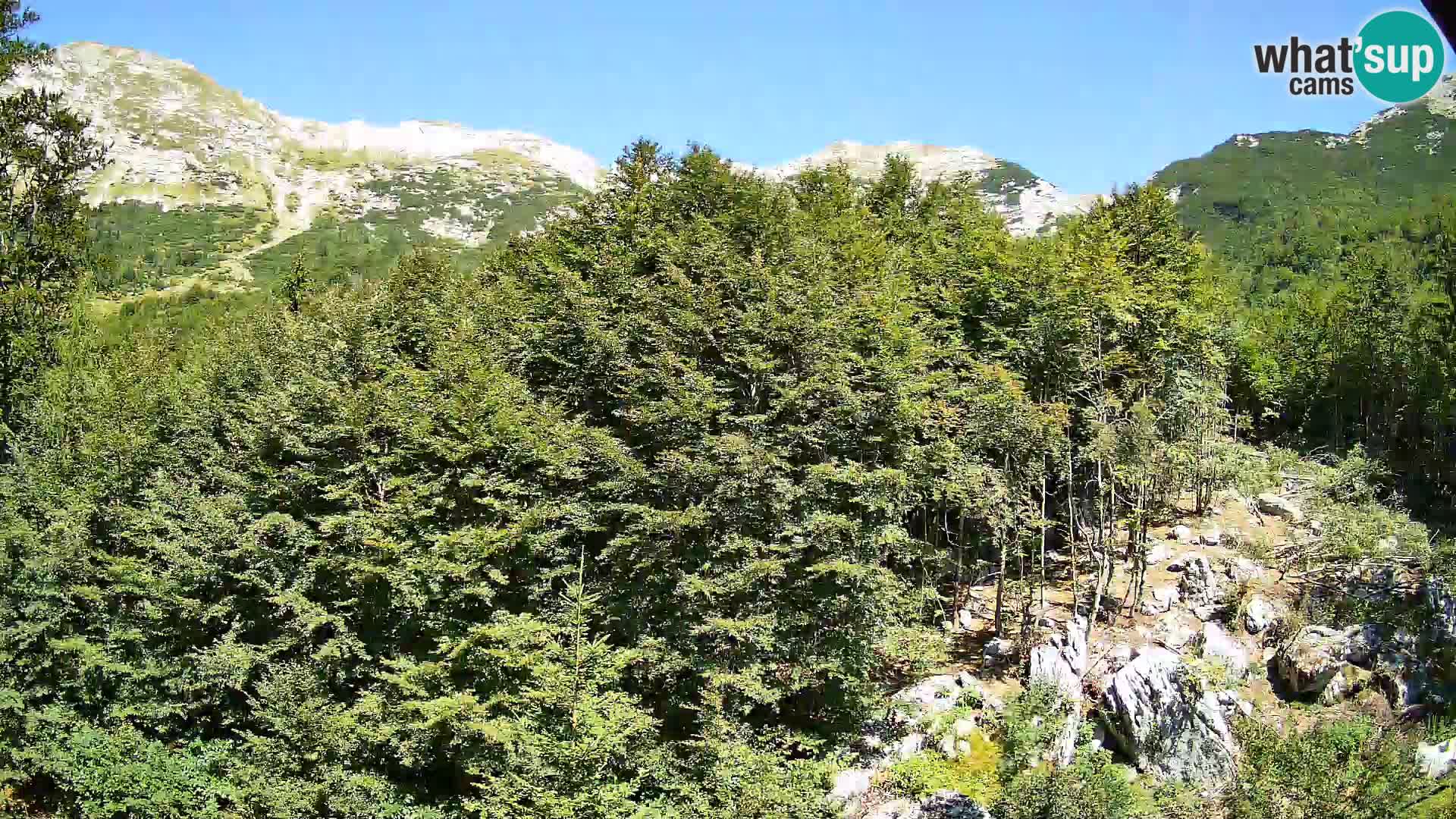Cámara web PLANINA RAZOR (1315) | vista a Vogel y Globoko