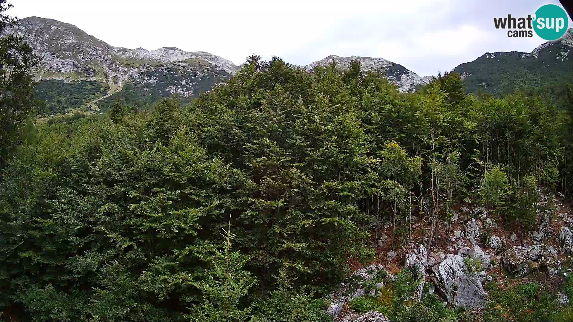 PLANINA RAZOR webcam (1315) | view to Vogel and Globoko