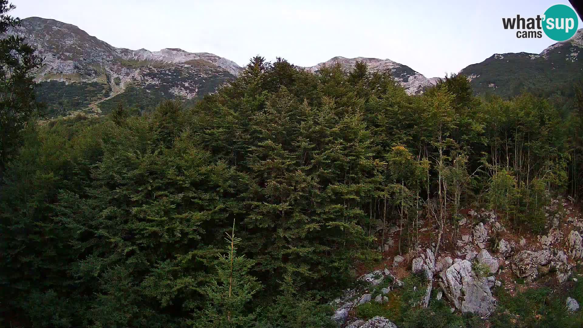 Webcam PLANINA RAZOR (1315) | Blick auf Vogel und Globoko