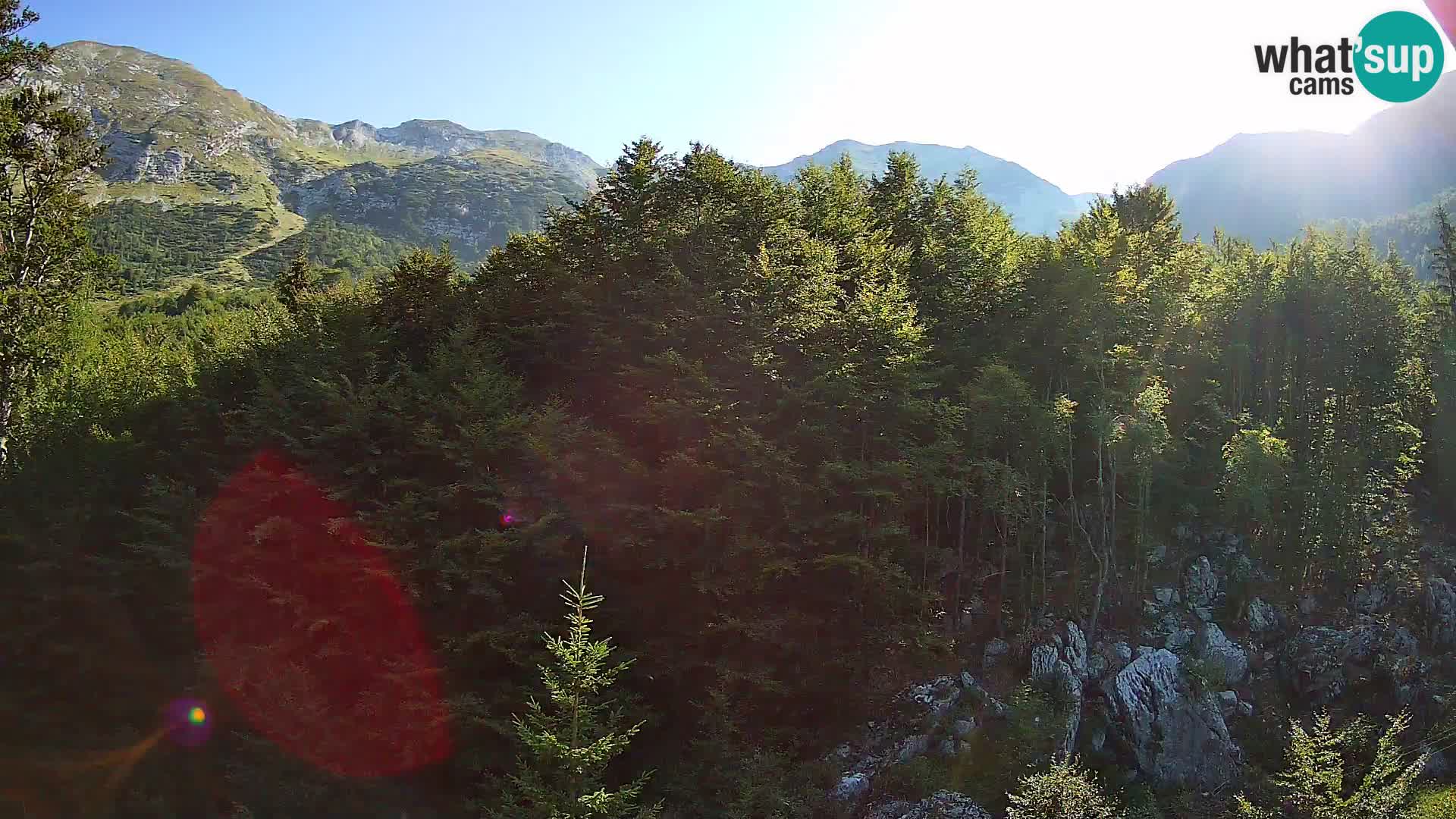 PLANINA RAZOR webcam (1315) | view to Vogel and Globoko