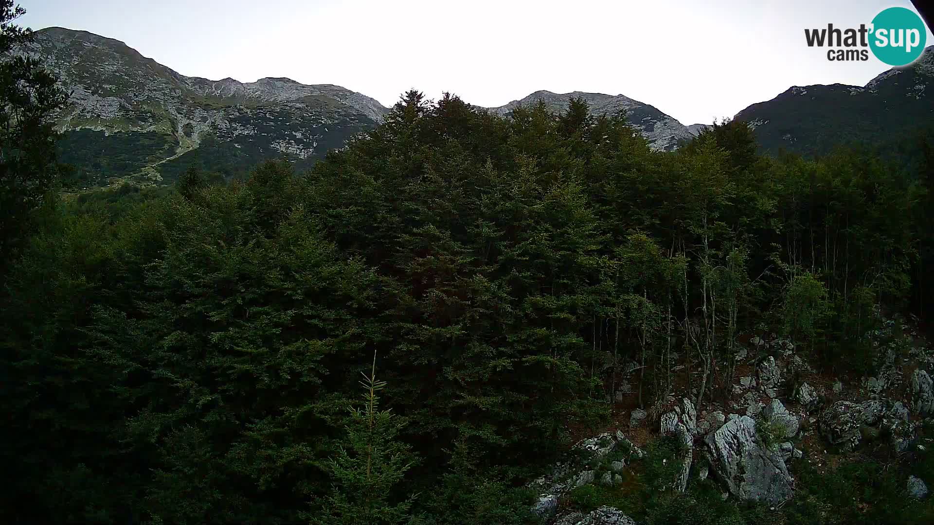 PLANINA RAZOR Live Cam (1315) | vista su Vogel e Globoko