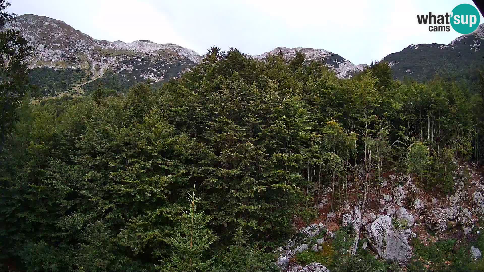Webcam PLANINA RAZOR (1315) | Blick auf Vogel und Globoko