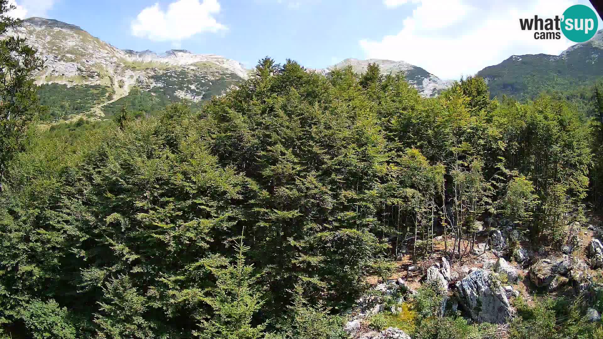 Webcam PLANINA RAZOR (1315) | Blick auf Vogel und Globoko