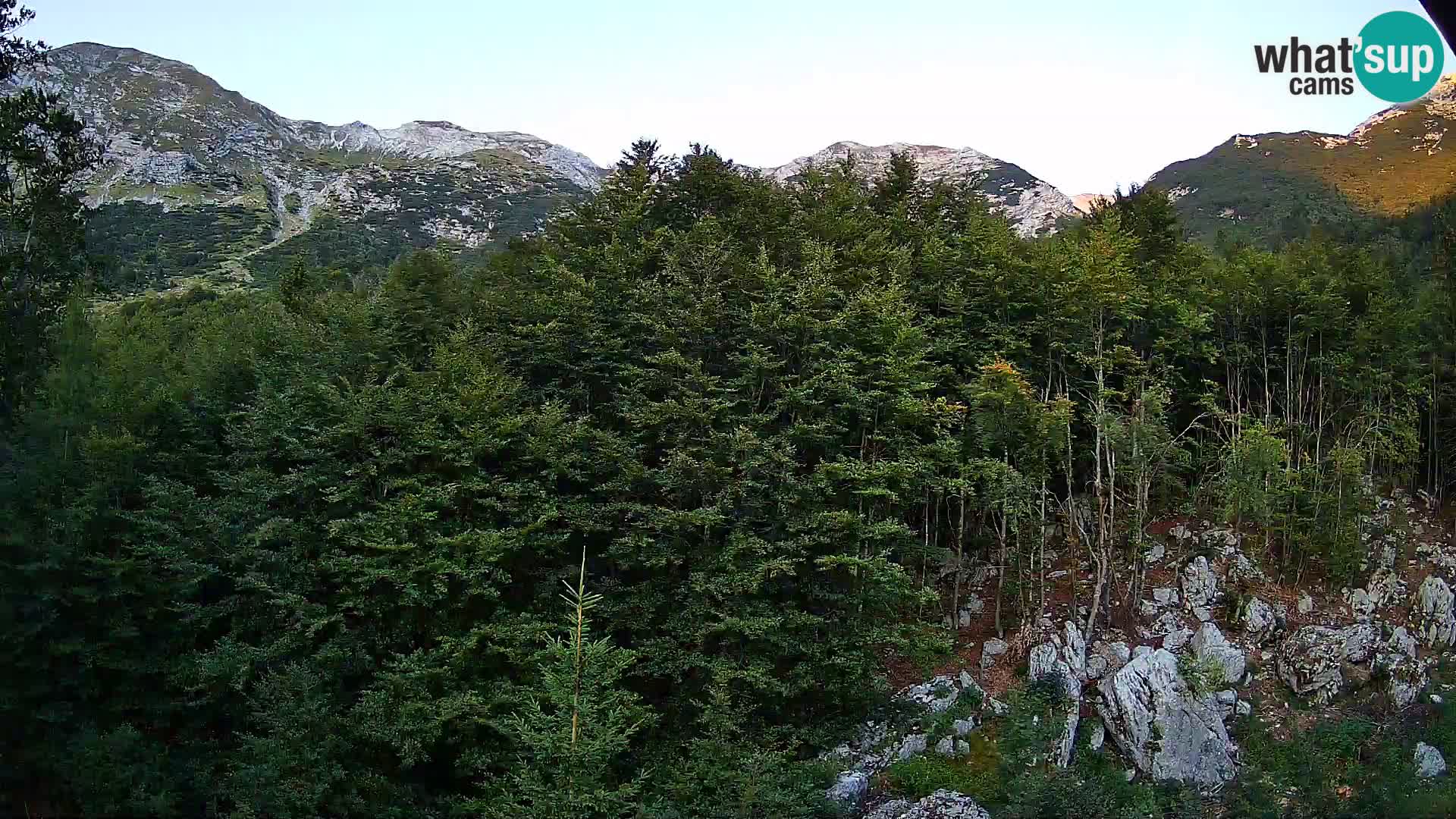 Cámara web PLANINA RAZOR (1315) | vista a Vogel y Globoko