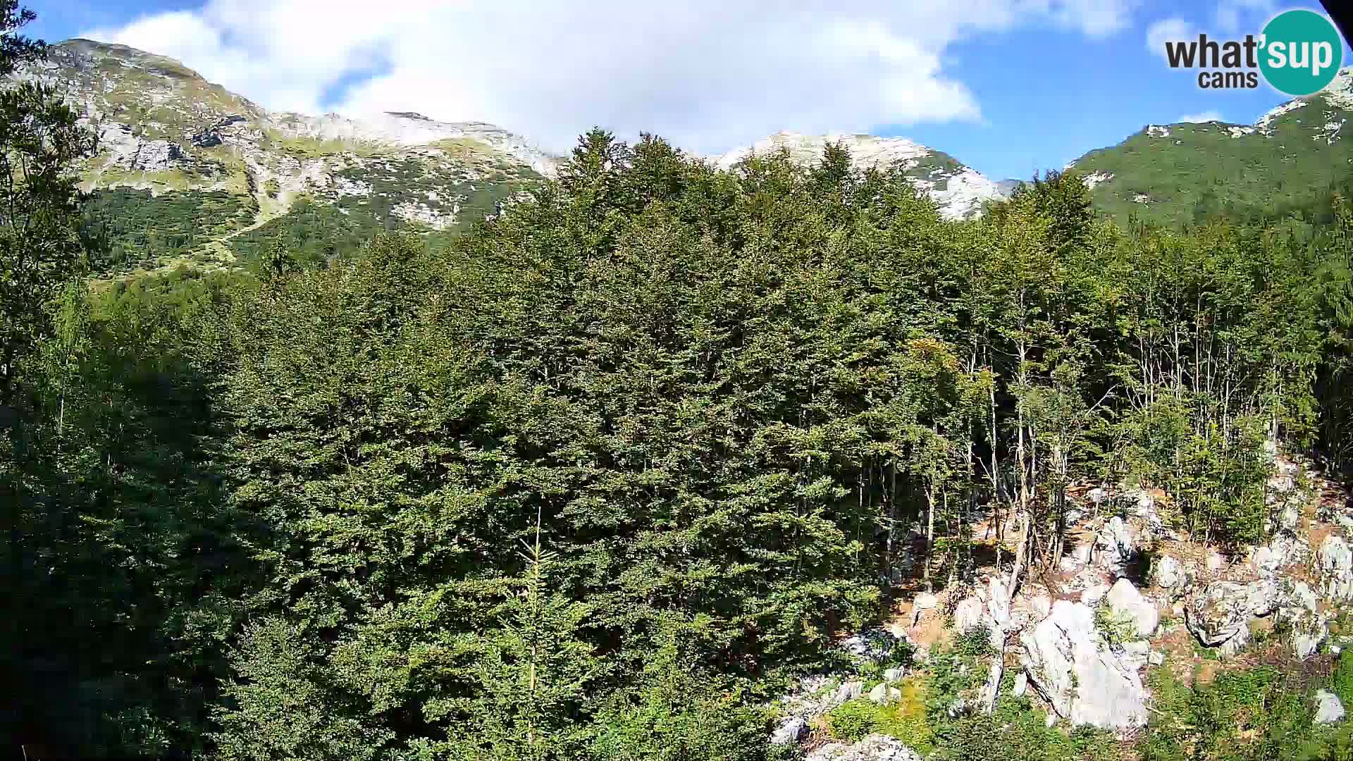 Webcam PLANINA RAZOR (1315) | Blick auf Vogel und Globoko