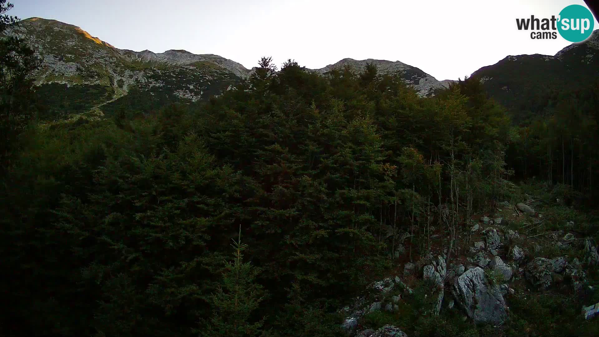 Webcam PLANINA RAZOR (1315) | Blick auf Vogel und Globoko