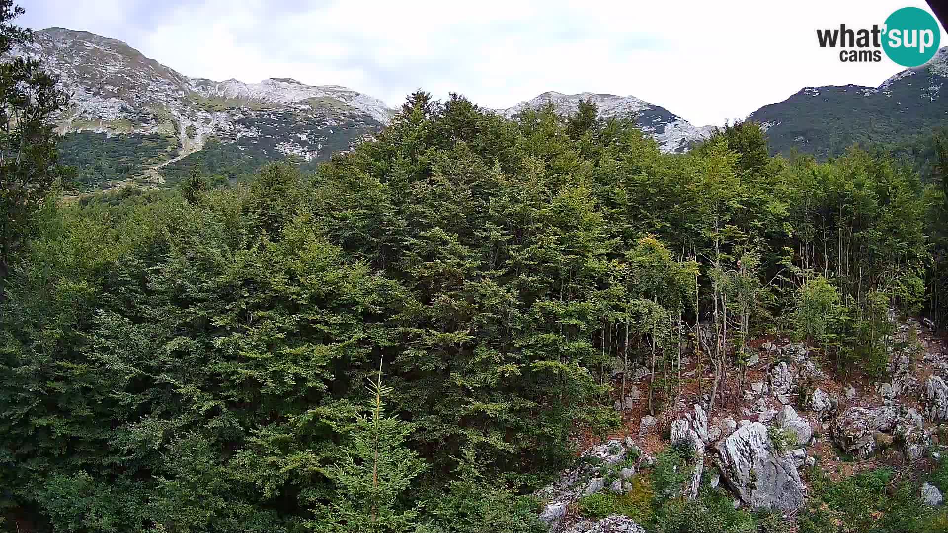 PLANINA RAZOR Live Cam (1315) | vista su Vogel e Globoko