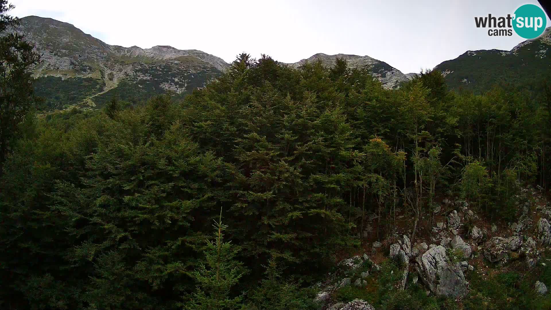 PLANINA RAZOR webcam (1315) | view to Vogel and Globoko