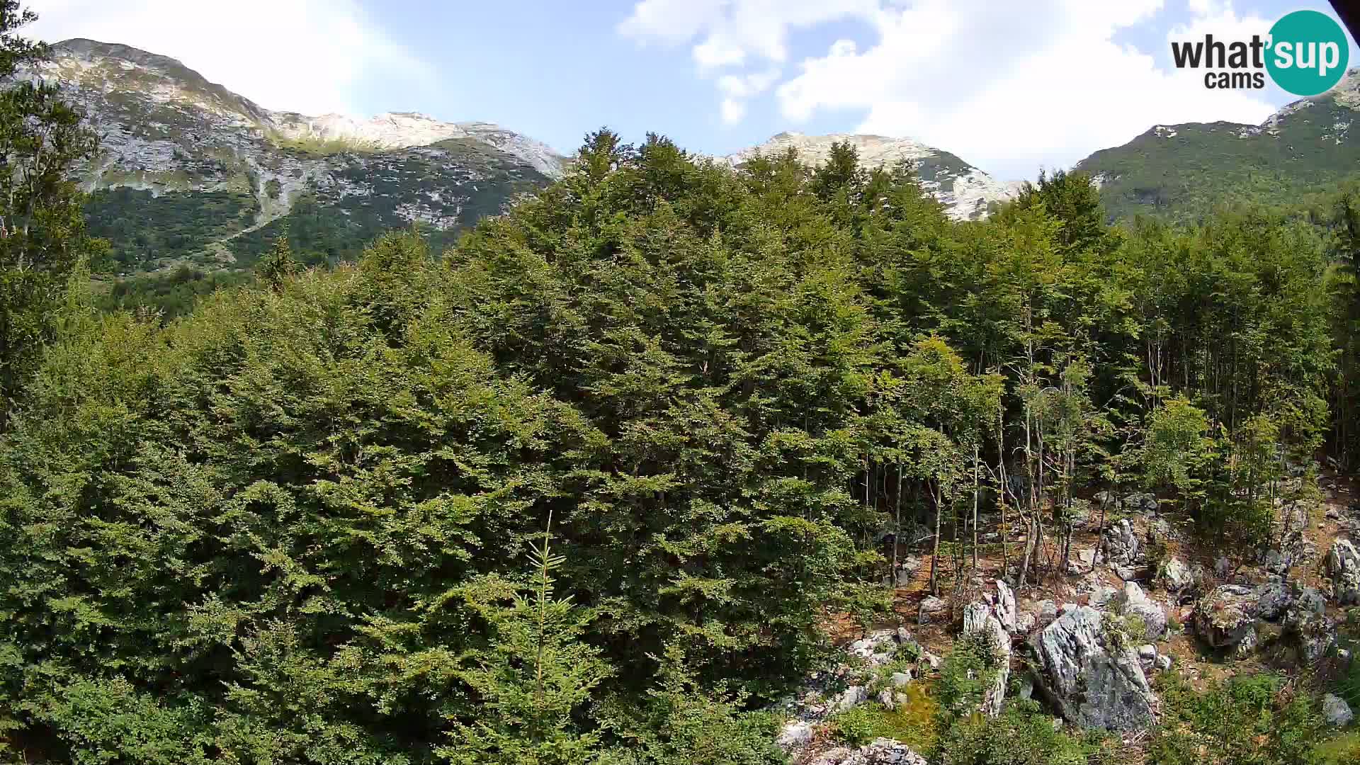 Cámara web PLANINA RAZOR (1315) | vista a Vogel y Globoko