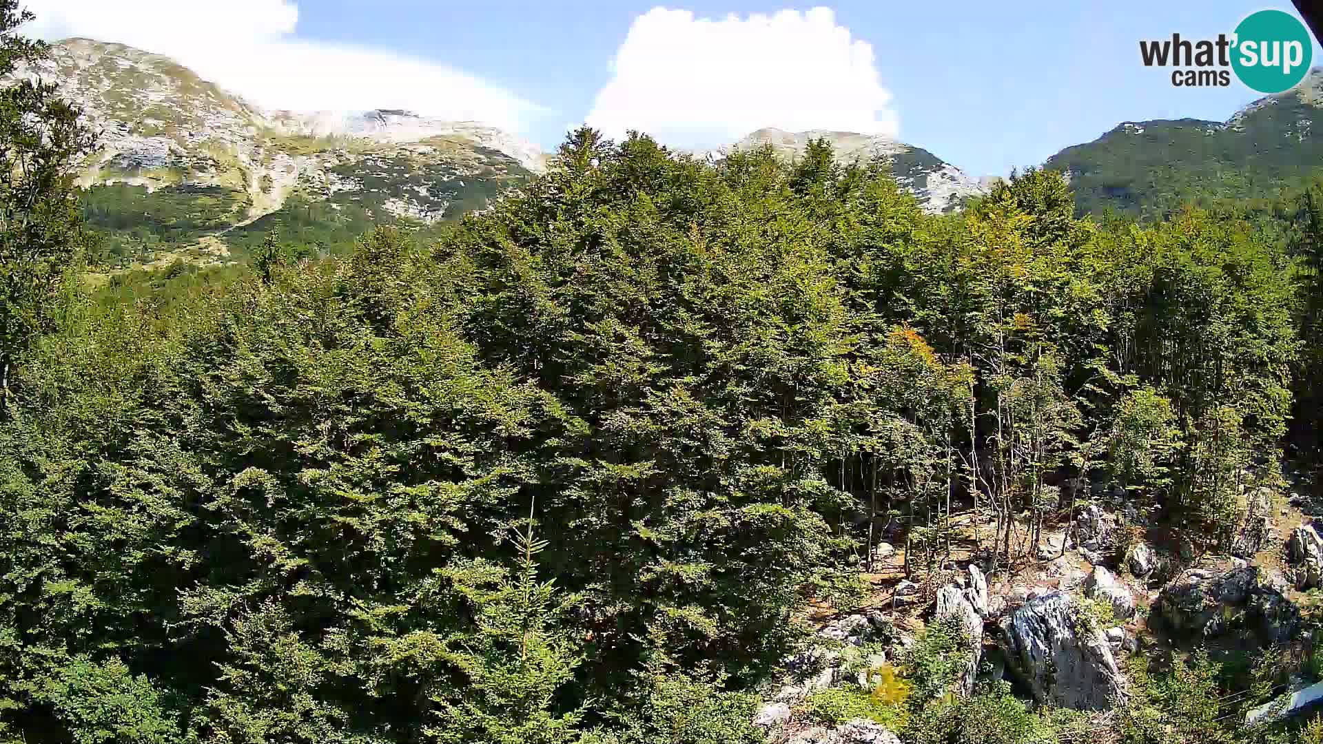 Webcam PLANINA RAZOR (1315) | Blick auf Vogel und Globoko