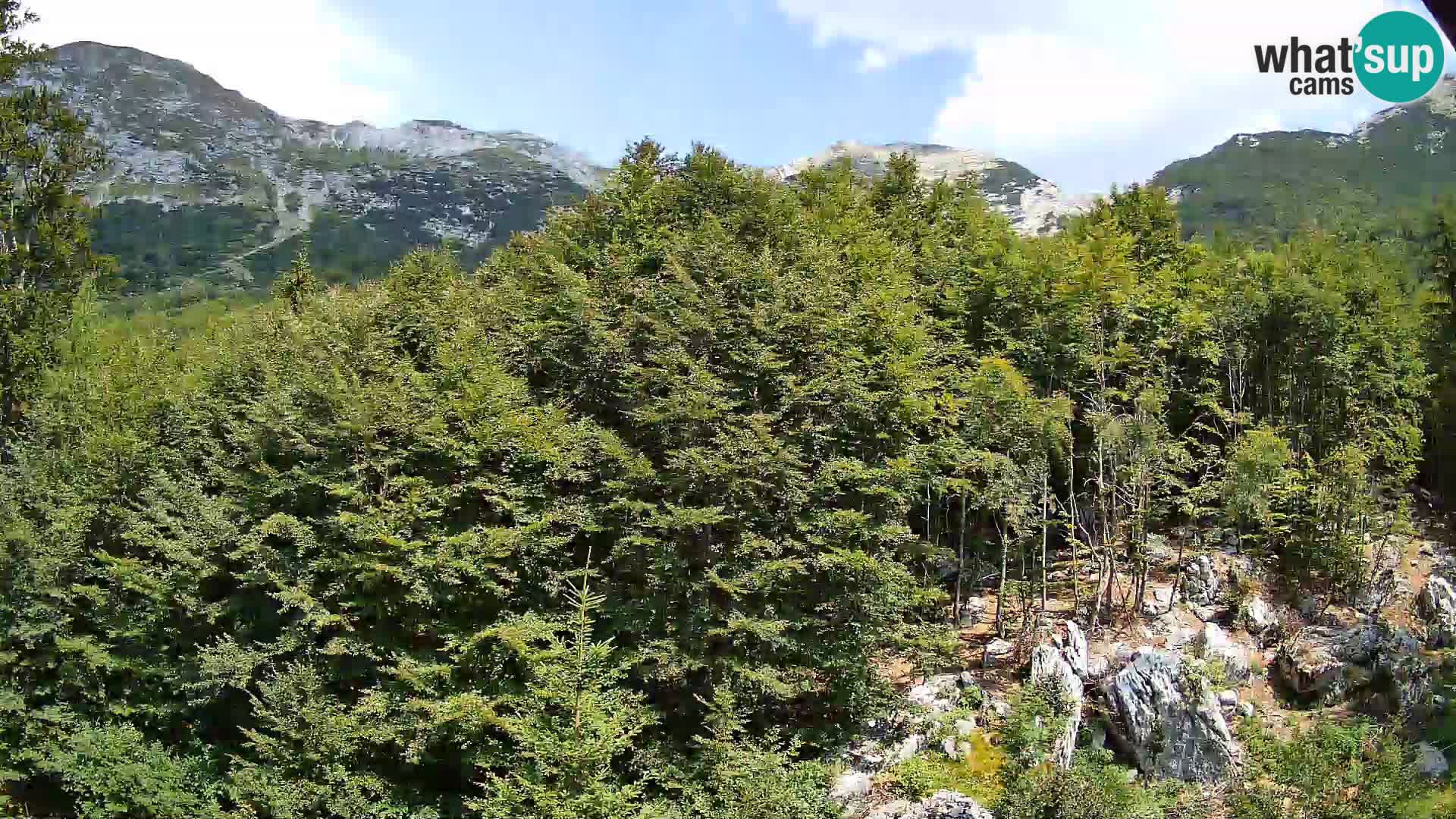 PLANINA RAZOR Live Cam (1315) | vista su Vogel e Globoko
