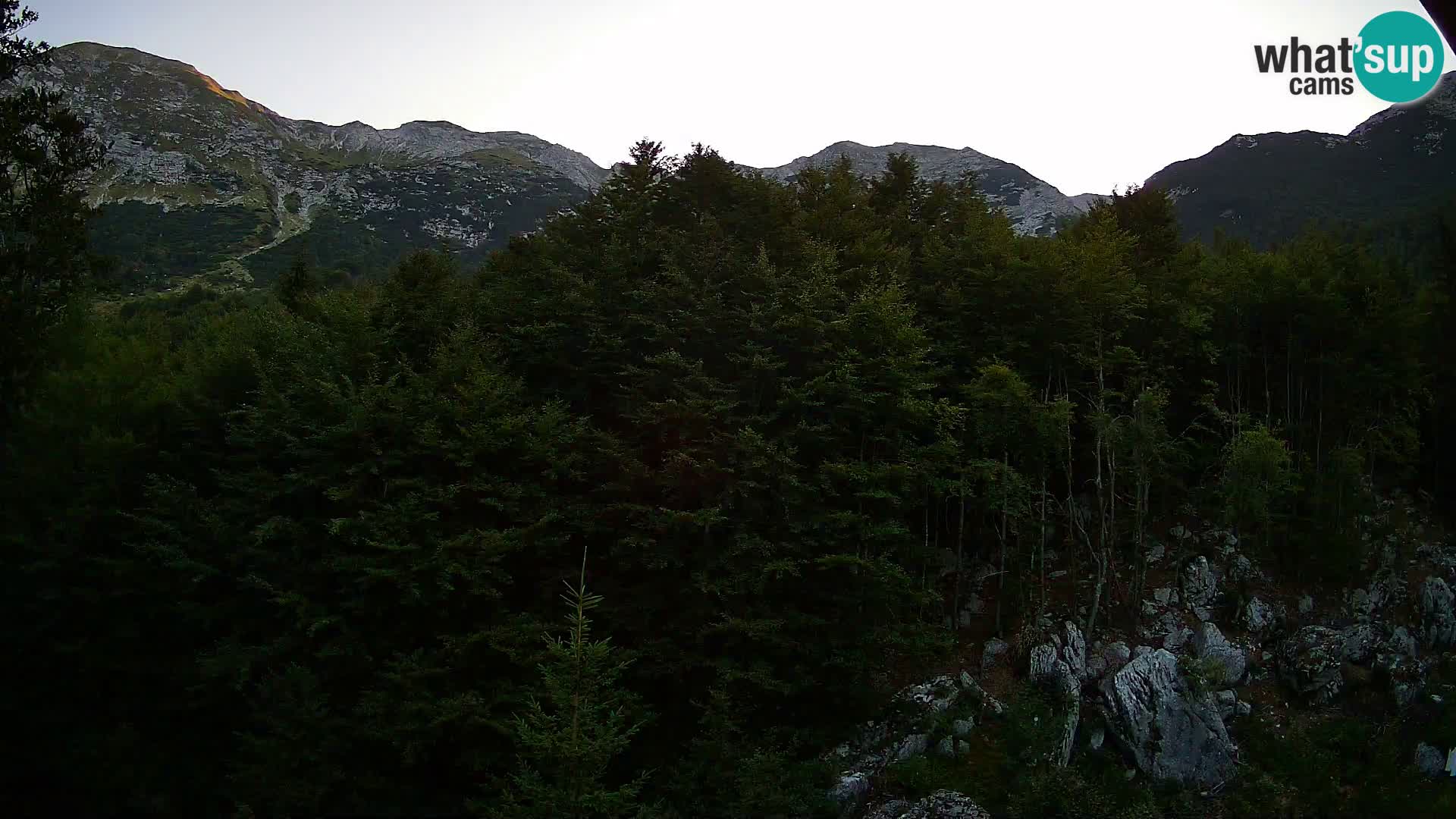 Livecam PLANINA RAZOR (1315) | vue sur Vogel et Globoko