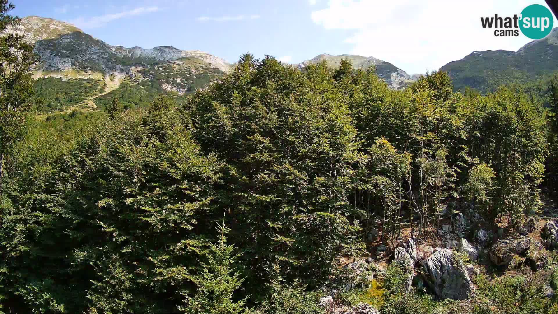 PLANINA RAZOR web kamera (1315) | pogled na Vogel i Globoko