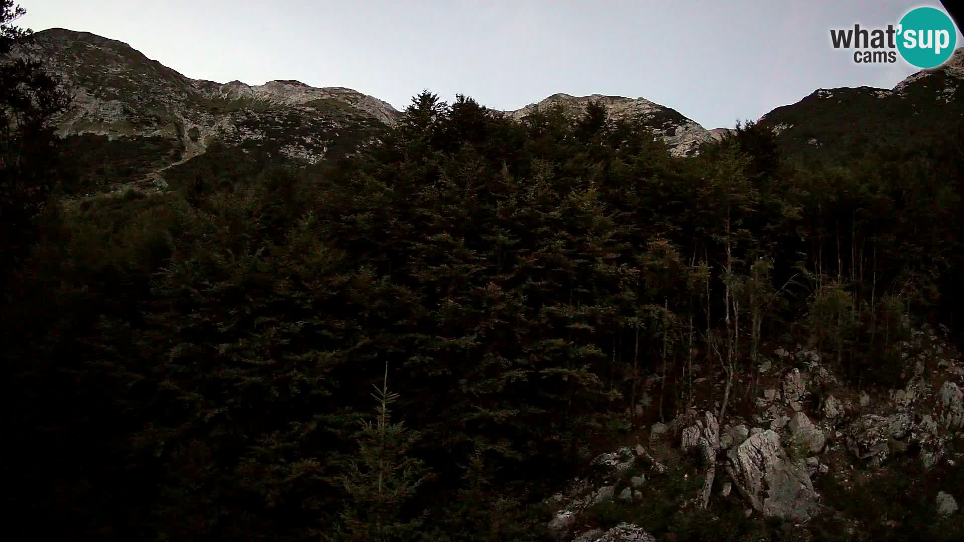 Livecam PLANINA RAZOR (1315) | vue sur Vogel et Globoko