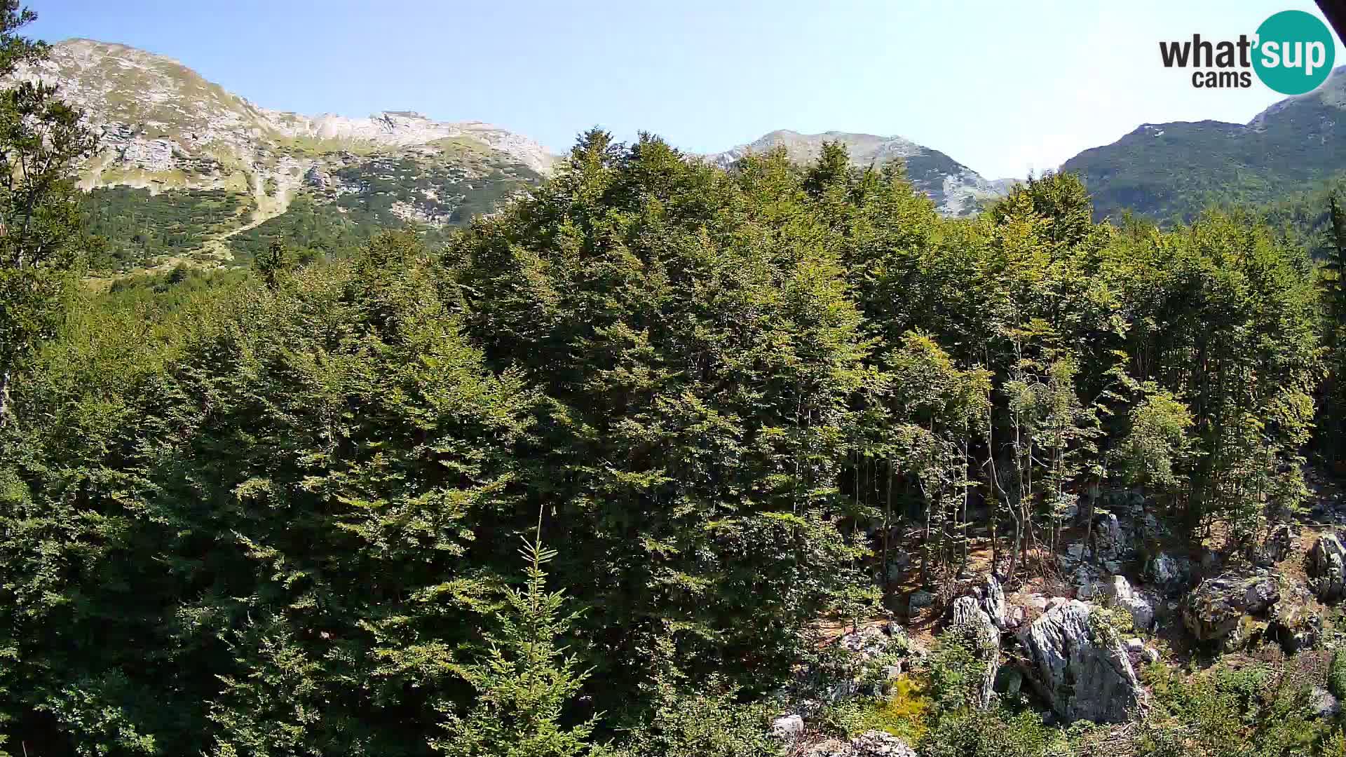 Webcam PLANINA RAZOR (1315) | Blick auf Vogel und Globoko