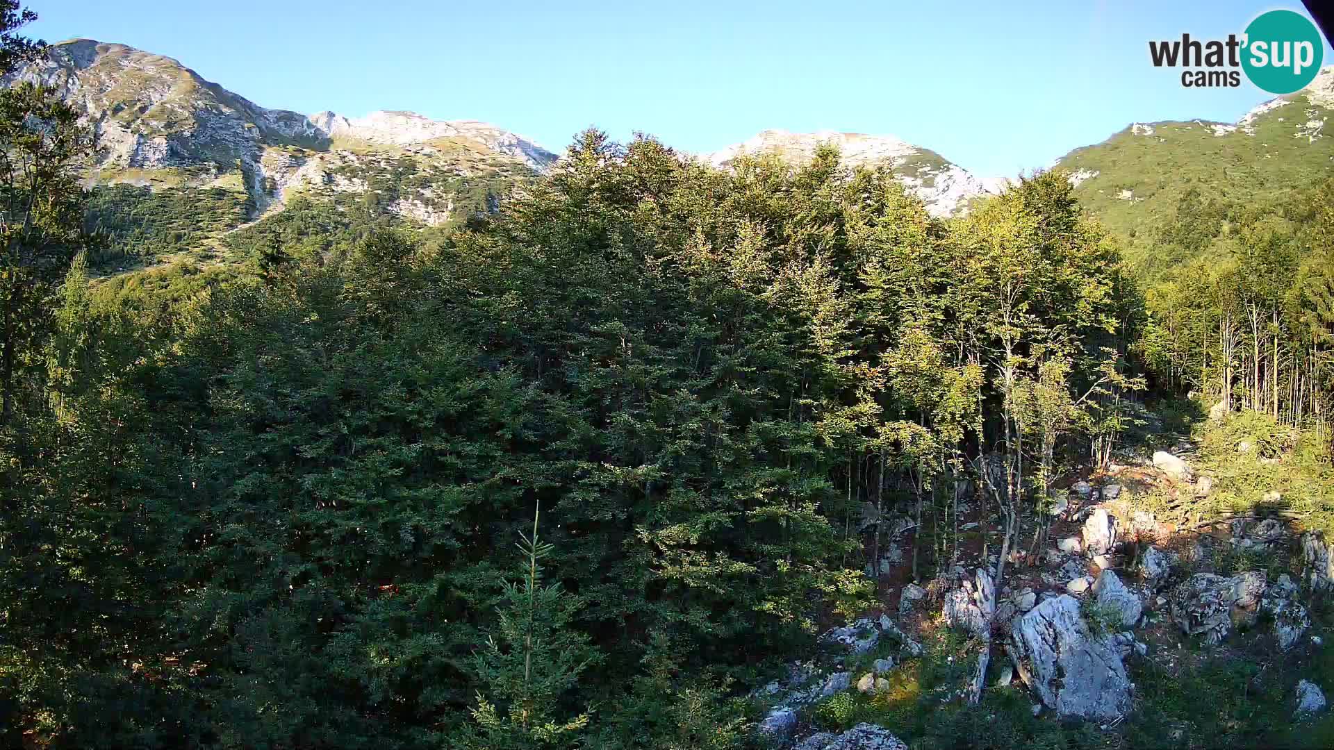 Webcam PLANINA RAZOR (1315) | Blick auf Vogel und Globoko