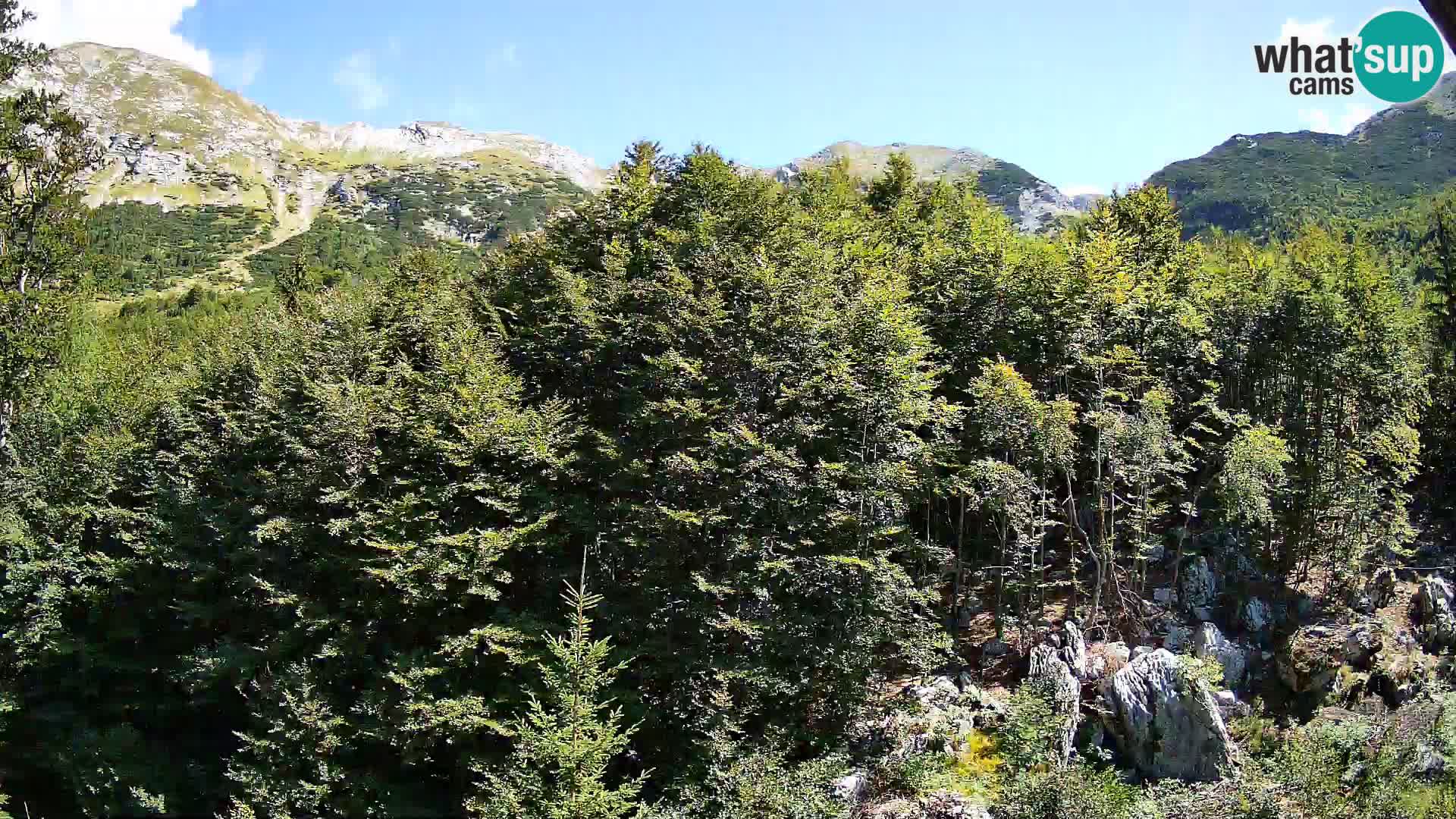 Webcam PLANINA RAZOR (1315) | Blick auf Vogel und Globoko