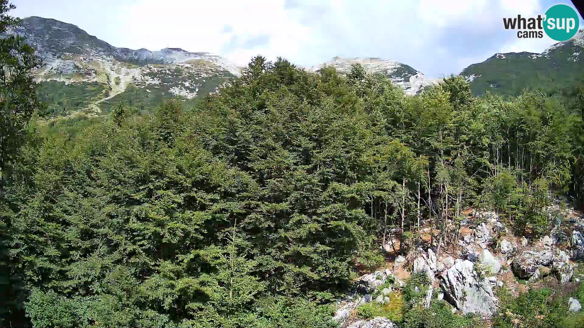 PLANINA RAZOR web kamera (1315) | pogled na Vogel i Globoko
