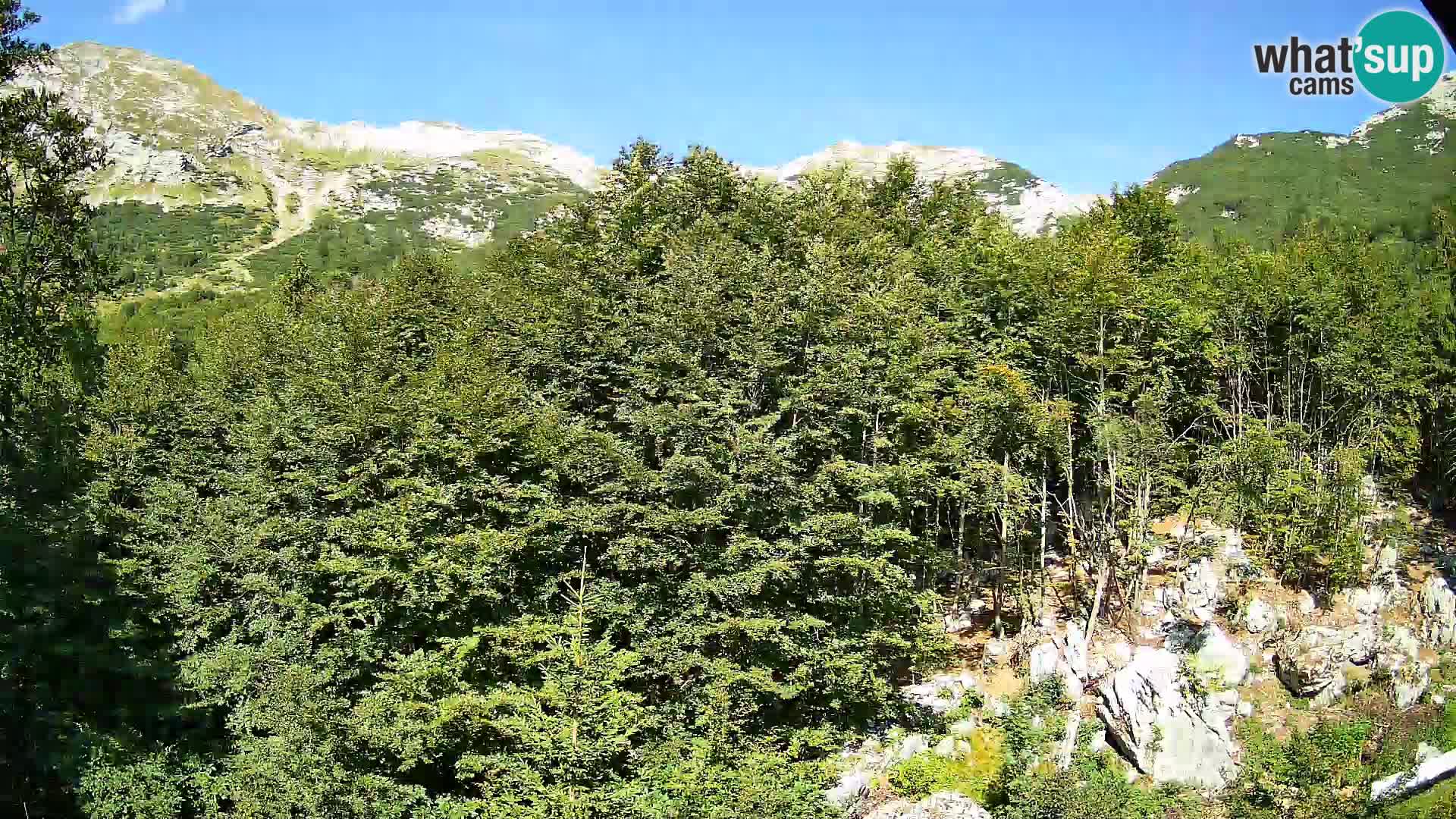PLANINA RAZOR Live Cam (1315) | vista su Vogel e Globoko